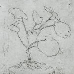 Renée Topfhofen, 2014, Ätzradierung, 10 x 15 cm