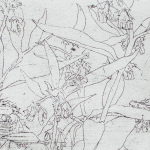 Renée Topfhofen, 2014, Ätzradierung, 10 x 15 cm