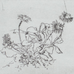 Renée Topfhofen, 2014, Ätzradierung, 10 x 15 cm