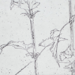 Renée Topfhofen, 2021, Ätzradierung, 15 x 20 cm