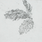 Renée Topfhofen, 2021, Ätzradierung, 15 x 20 cm