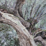 Renée Tophofen, 2017, Öl auf Holz, 30 x 34 cm