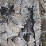 Renée Tophofen, 2022, Öl auf Holz, 30 x 34 cm