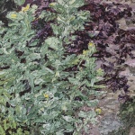 Renée Tophofen, 2016, Öl auf Holz, 24 x 27 cm