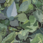 Renée Tophofen, 2015, Eitempera auf Holz, 15 x 20 cm