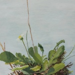 Renée Tophofen, 2014, Eitempera auf Holz, 19 x 14 cm