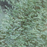 Renée Tophofen, 2017, Eitempera auf Holz, 27 x 25 cm