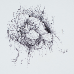 Renée Topfhofen, 2017, Tusche auf Papier, 59 x 42 cm (Bildausschnitt)