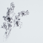 Renée Topfhofen, 2017, Tusche auf Papier, 59 x 42 cm (Bildausschnitt)