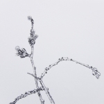 Renée Topfhofen, 2016, Tusche auf Papier, 21 x 25 cm