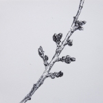 Renée Topfhofen, 2015, Tusche auf Papier, 19 x 21 cm