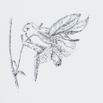 Renée Topfhofen, 2018, Tusche auf Papier, 21 x 29 cm