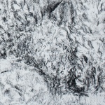 Renée Topfhofen, 2019, Kohle auf Papier, 21 x 23 cm