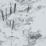 Renée Topfhofen, 2018, Kohle auf Papier, 21 x 24 cm