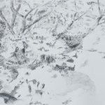 Renée Topfhofen, 2018, Kohle auf Papier, 21 x 24 cm