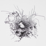 Renée Topfhofen, 2015, Tusche auf Papier, 59 x 42 cm (Bildausschnitt)